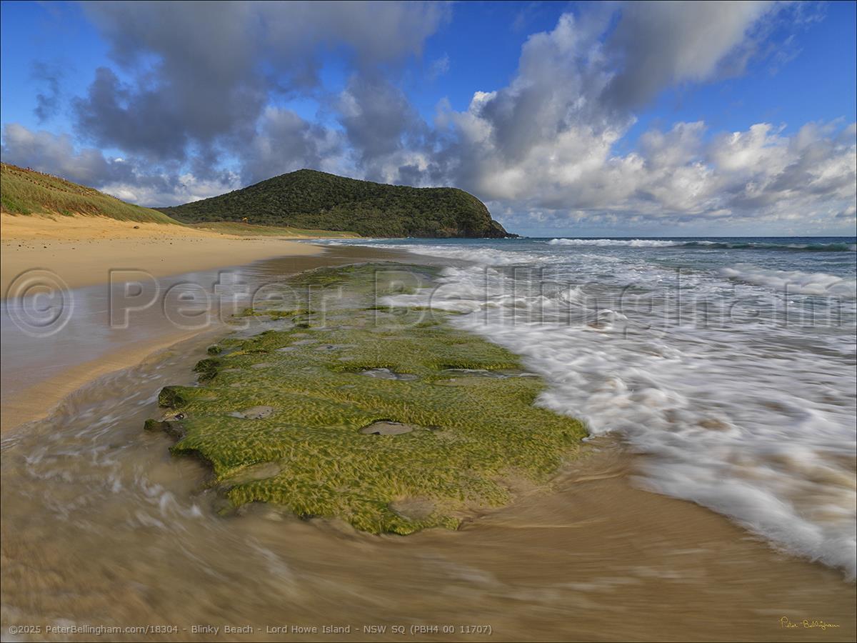 Peter Bellingham Photography Blinky Beach - Lord Howe Island - NSW SQ (PBH4 00 11707)
